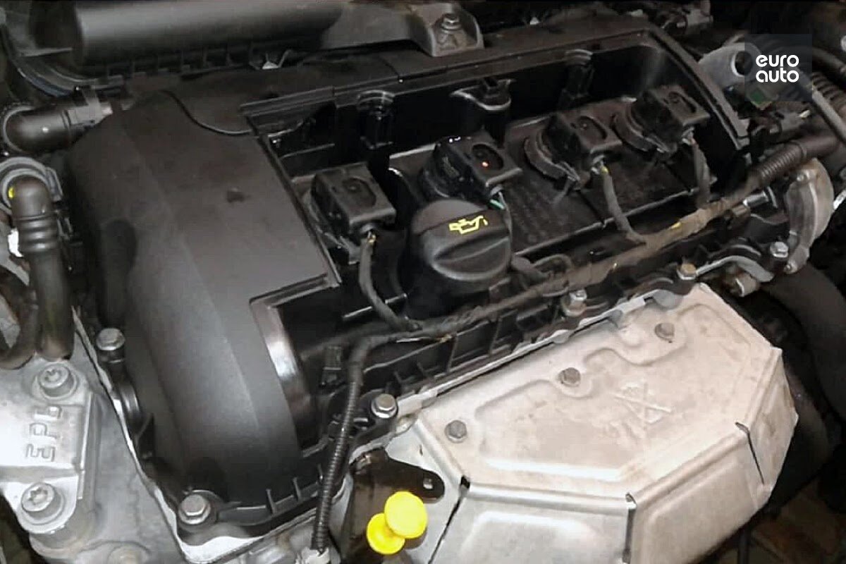 фото клиента