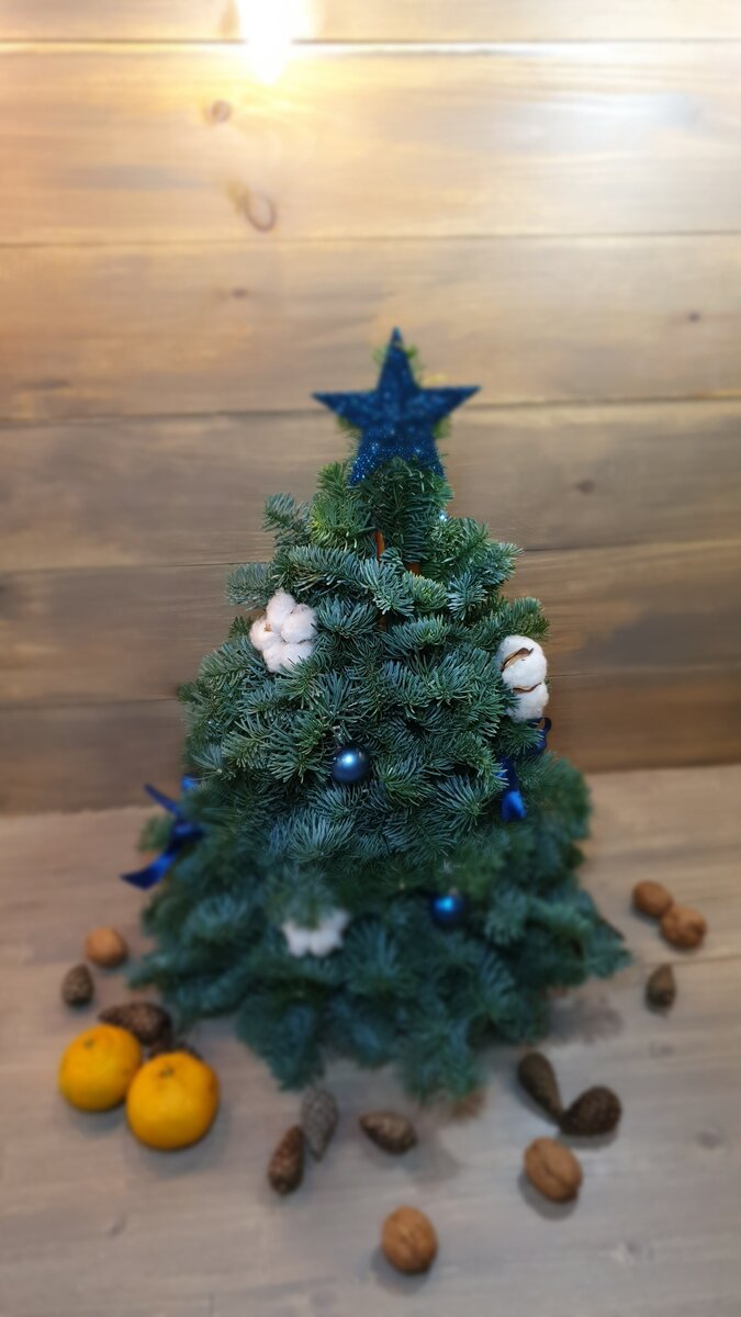 Фото: Елочка из нобилиса, выстой 50 см. 