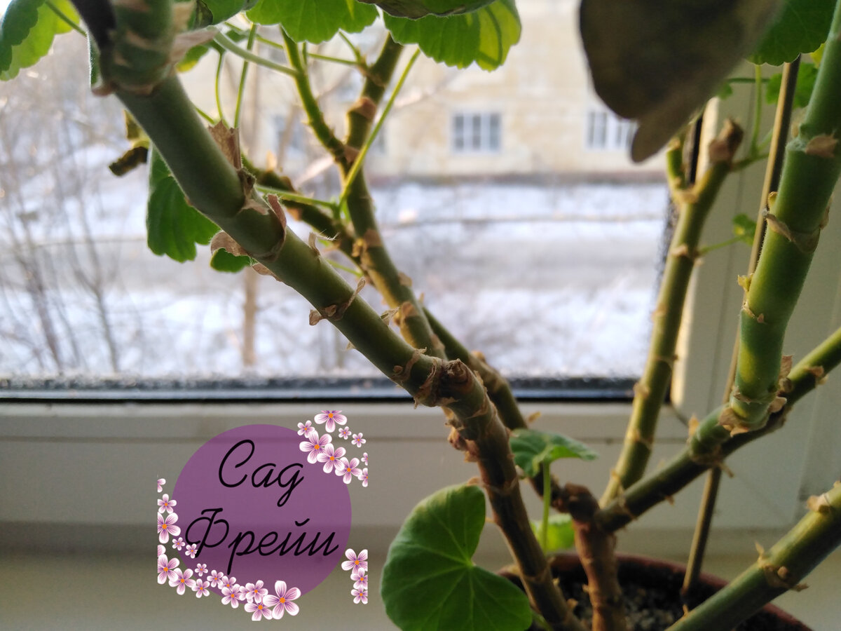 Типичная зимняя картина