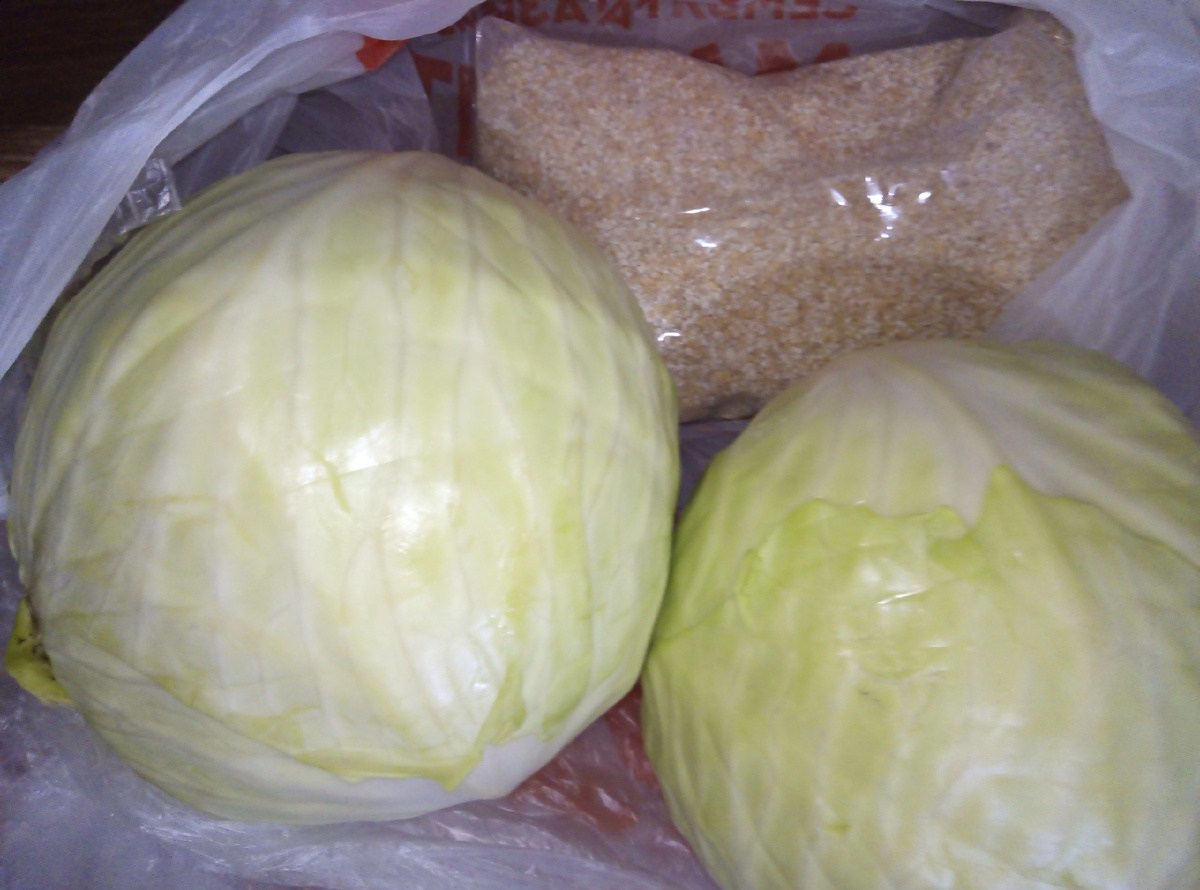 Капуста для голубцов. Ячка для собаки.