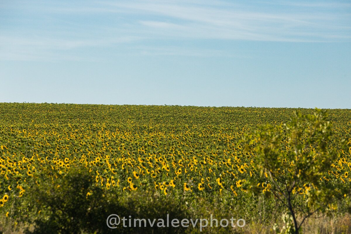 Пейзажи у Калиновки