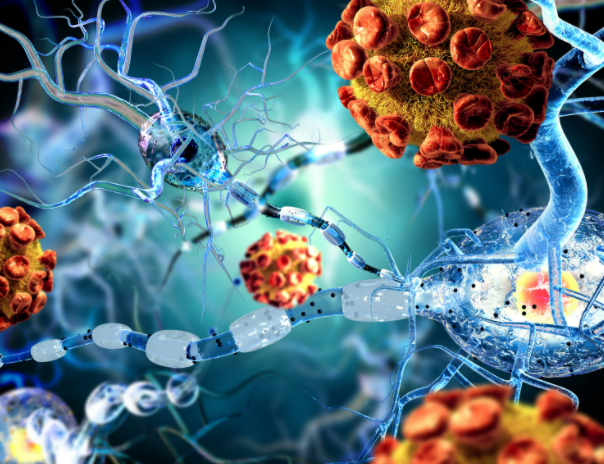 Источник фотографии: Яндекс. Картинки