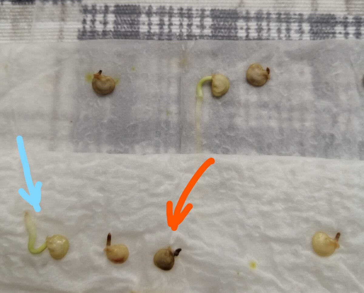 03.03.21 г / фото автора.