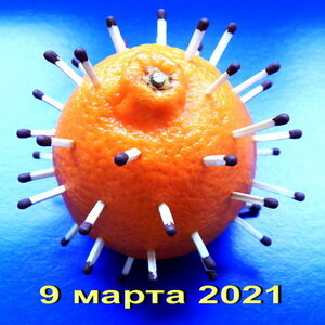 Статистика 