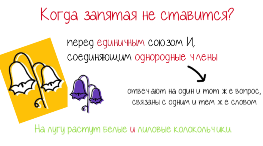 Член встает и тут же падает: в чем проблема и как ее решить?