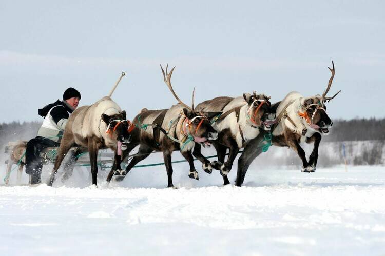 Фото: Лев Федосеев 