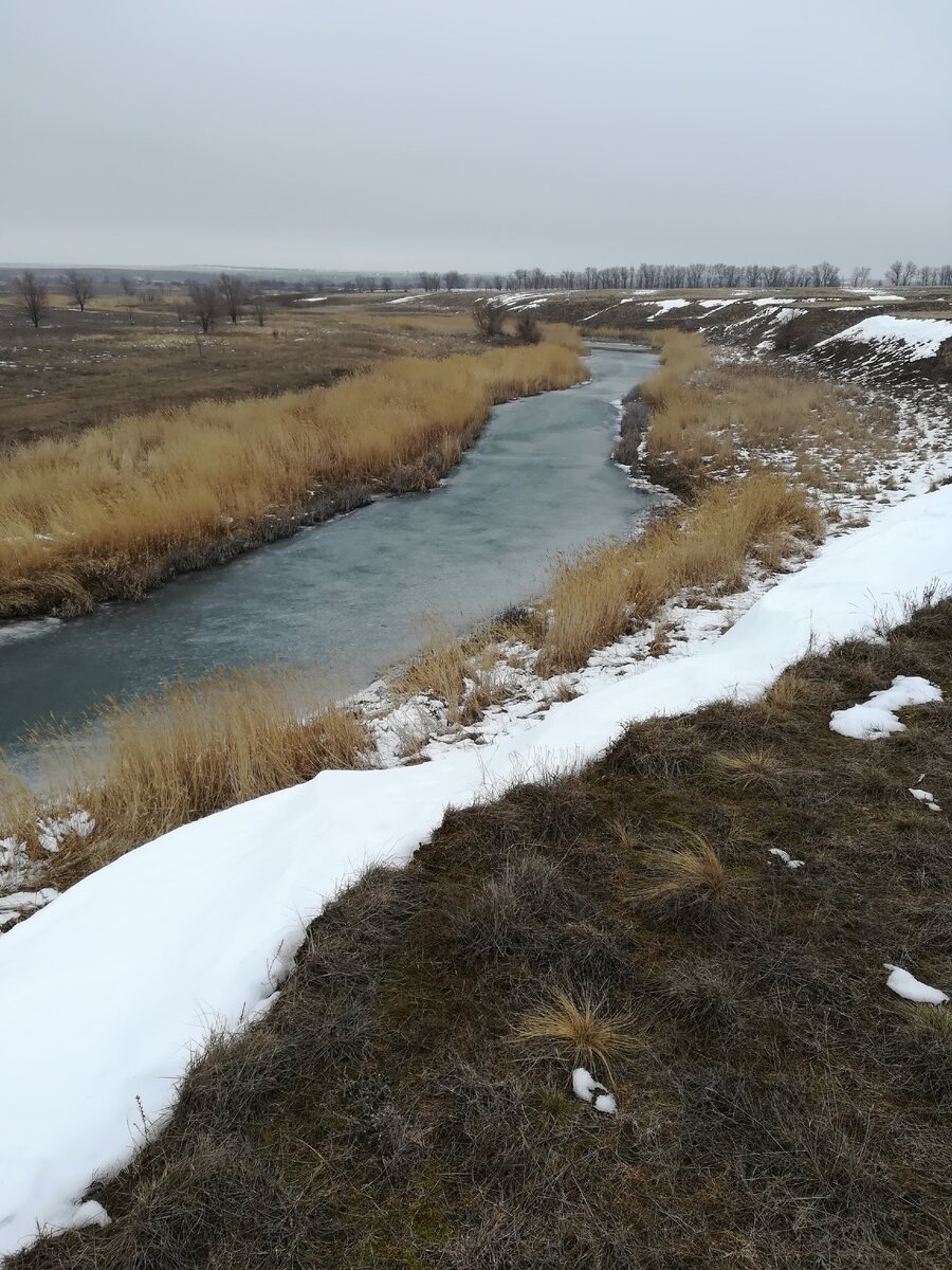 Донская царица 