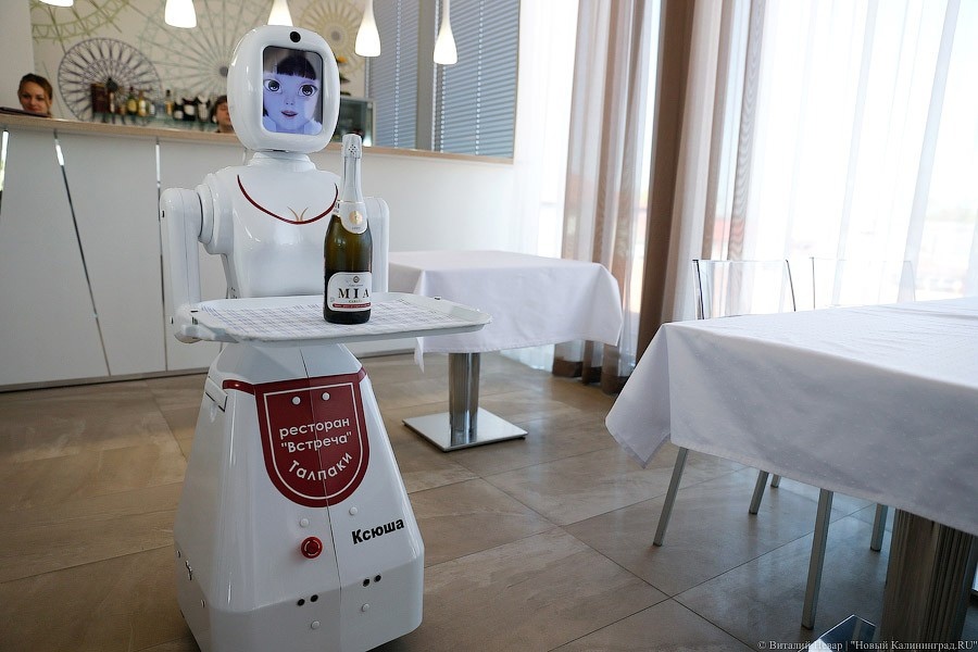 Робот официант «Ксюша». Изображение: newkaliningrad.ru