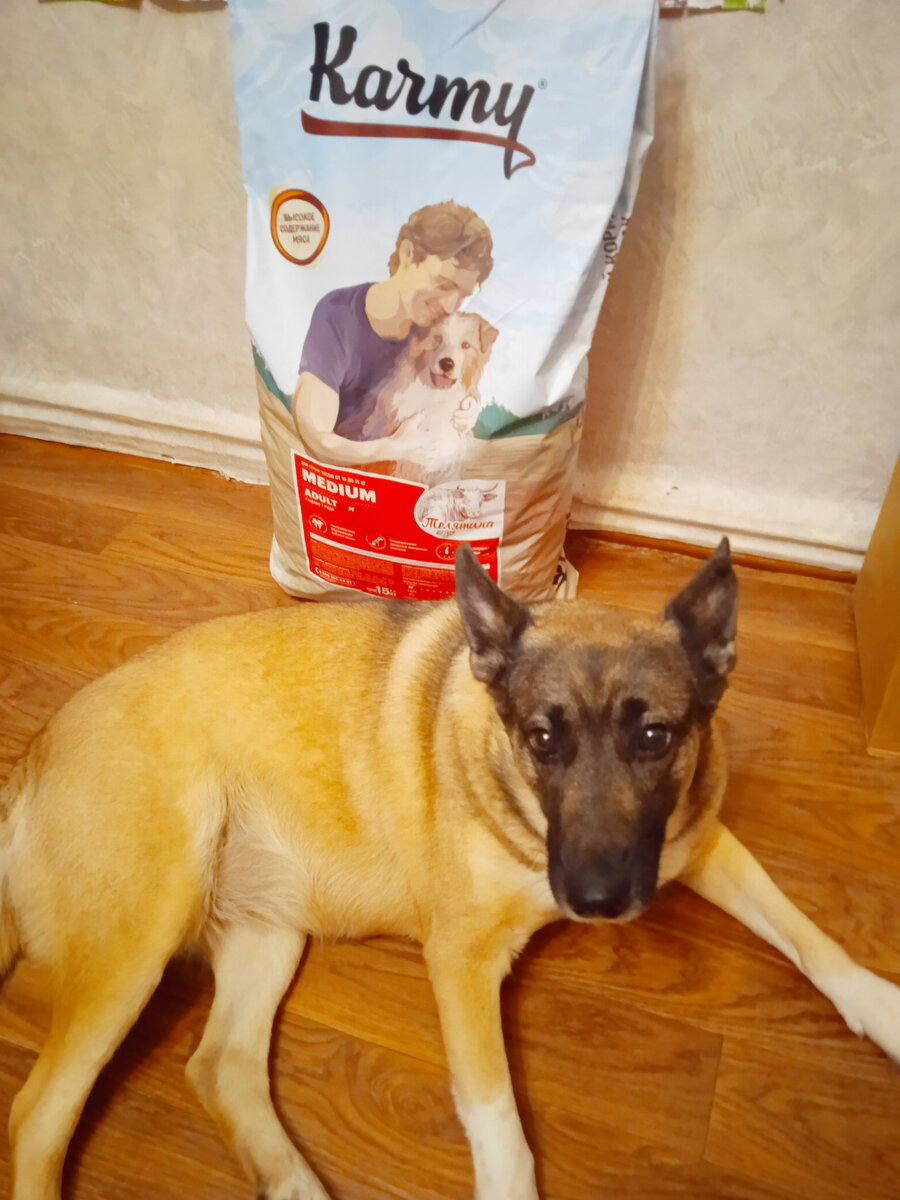 Тайруша охраняет то, что ей очень дорого)) Фото автора канала 