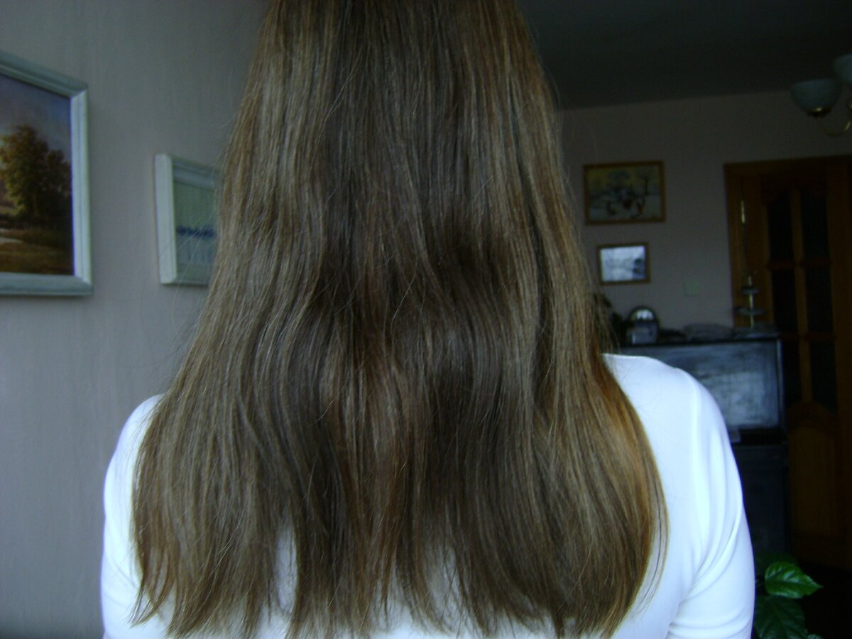 Так выглядят мои волосы после мытья содой. Фотография не передаёт всей картины состояния волос, но было гораздо хуже. 