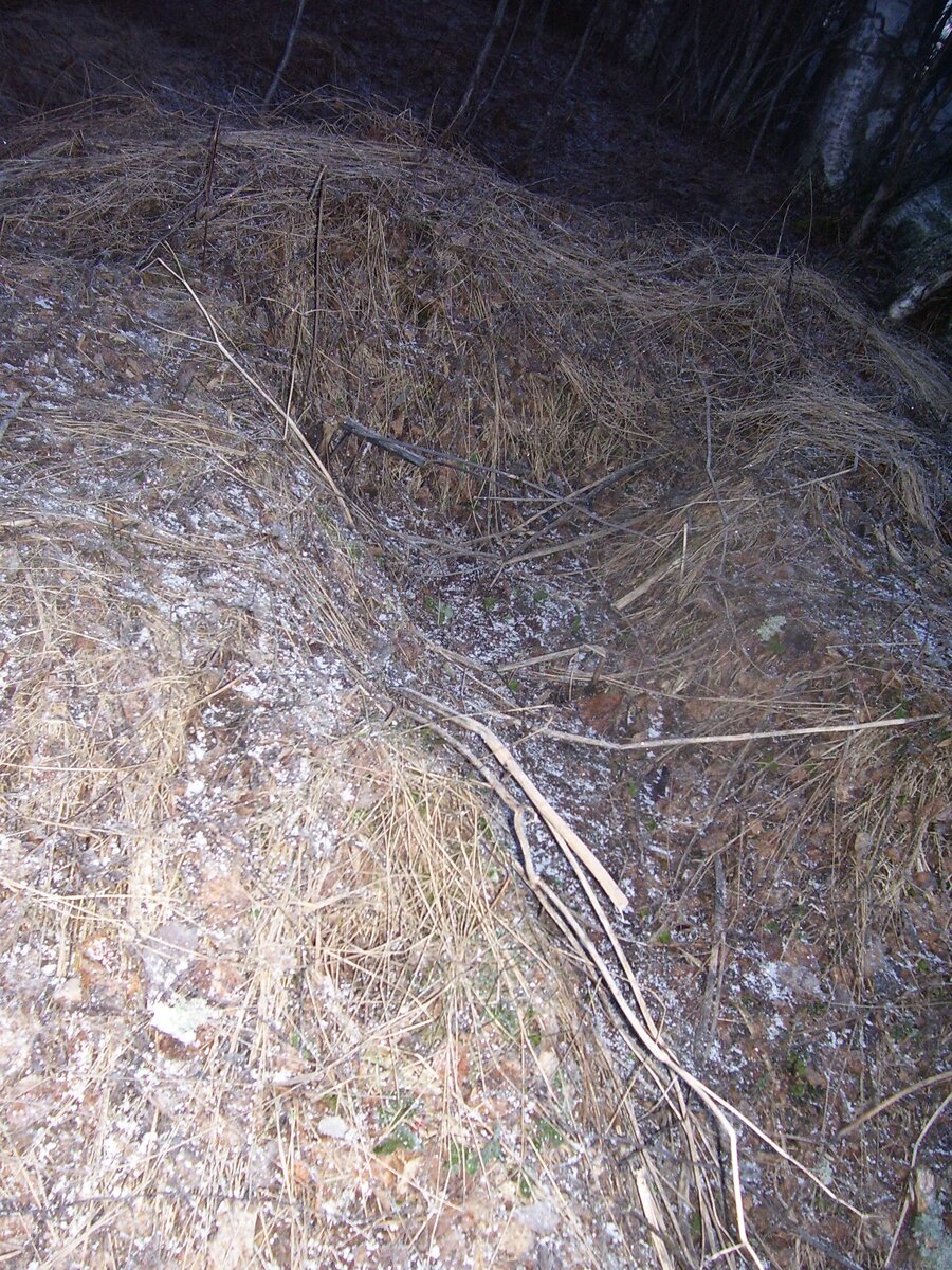 Окоп. Почти сто лет прошло, а до сих пор местами колючая проволока торчит. Да и гильзами всё усеяно