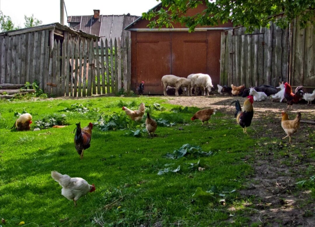 Фото из интернета 