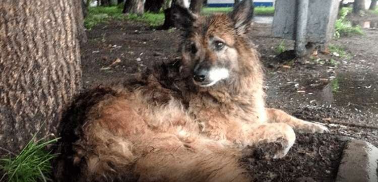 найдено на просторах интернета