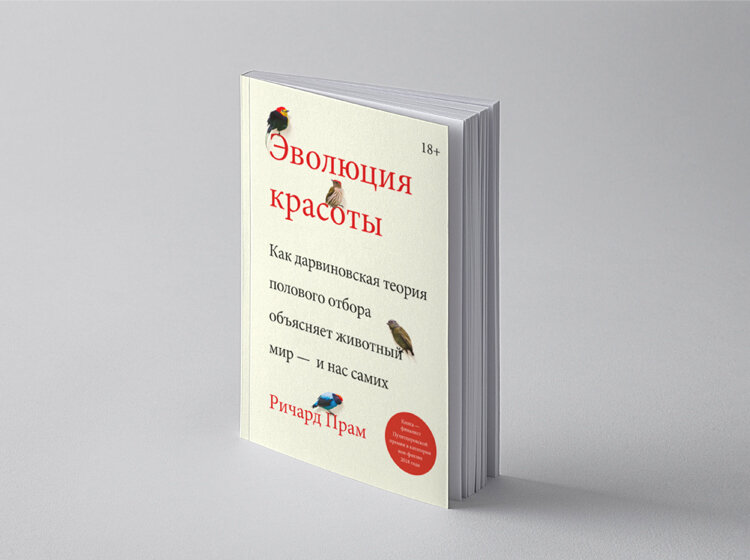 Эволюция красоты книга