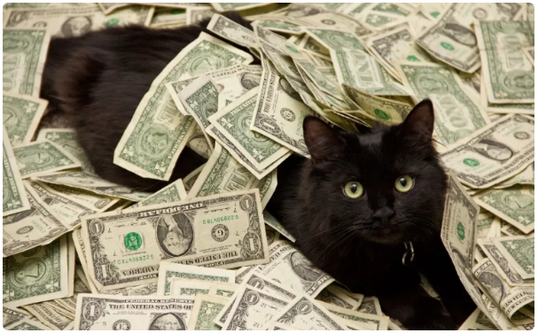 Скриншот автора. Фото из открытых источников