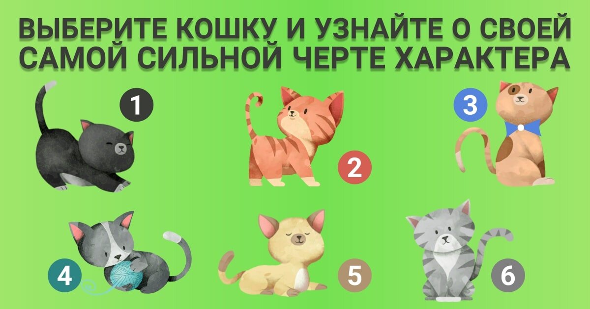 Очень важно, чтобы вы сделали свой выбор в течение 5 секунд. Если вы выполнили все правила, то получите максимально точный результат
