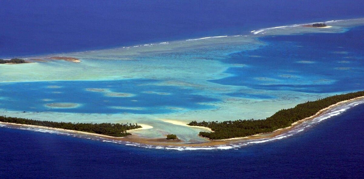 Фото из открытых источников