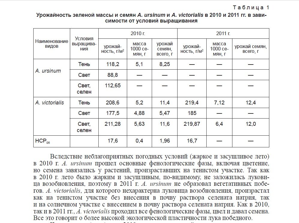 Фото 2. Урожайность зелёной массы и семян A. ursinum и A. victorialis в 2010 и 2011 гг. в зависимости от условий выращивания. 
Таблица из статьи "ОСОБЕННОСТИ ФОРМИРОВАНИЯ УРОЖАЯ И АККУМУЛЯЦИИ СЕЛЕНА В ЛУКЕ ПОБЕДНОМ (ALLIUM VICTORIALIS L.) И ЛУКЕ МЕДВЕЖЬЕМ (ALLIUM URSINUM L.)" (Н.А. ГОЛУБКИНА, О.В. КОШЕЛЕВА, О.М. САВЧЕНКО, А. Ю. СОЛОВЬЕВА, Л.Н. КОЗЛОВСКАЯ, Е.Л. МАЛАНКИНА)