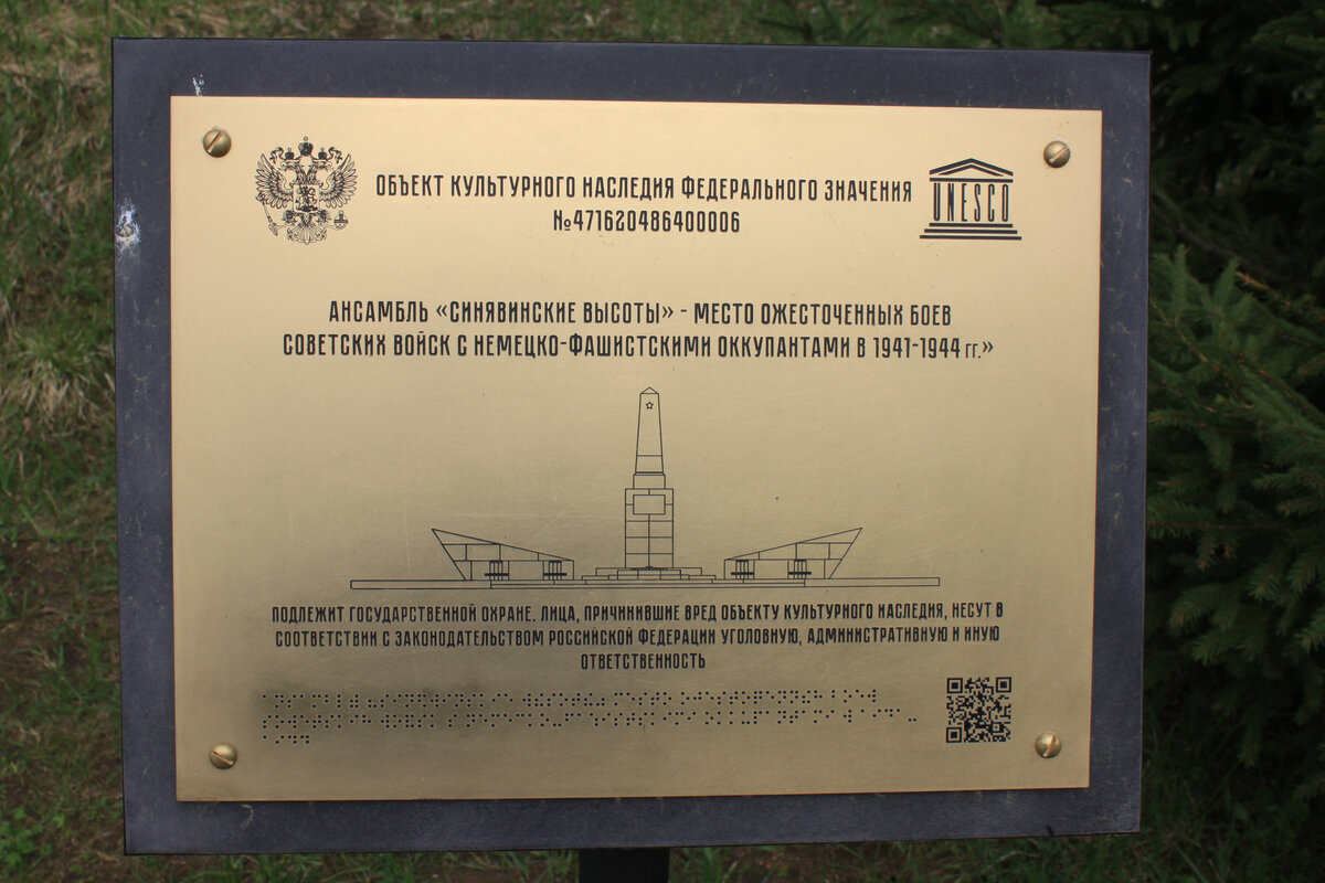 Название Синявино у современных петербуржцев скорее ассоциируется с крупной птицефабрикой, которая кормит весь регион яйцами и курятиной. А ведь это на самом деле весьма зловещее место.
Около исчезнувшей в огне войны деревни с таким же названием располагается возвышенное плато, которое доминирует над всей ровной как стол болотистой местностью южного приладожья. 
Это плато имеющее высоту от 40 до 50 метров, что по местным меркам немало и называется - Синявинскими высотами.