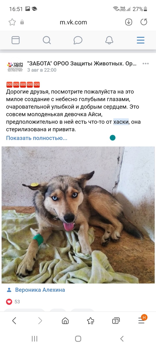 Полухаски. Скриншот из группы "Забота"
