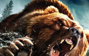 Из свободного доступа.