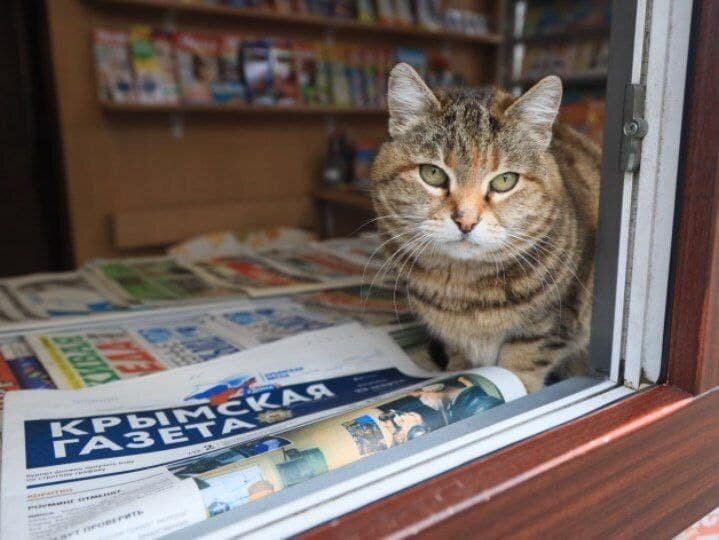 Фото: Наталья Сомова 