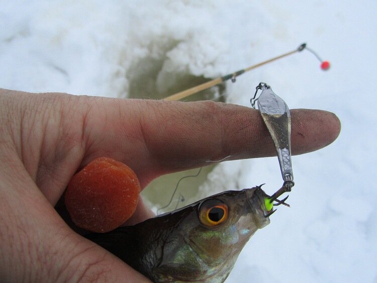 Блесна для зимней рыбалки своими руками - советы, инструкции, рекомендации