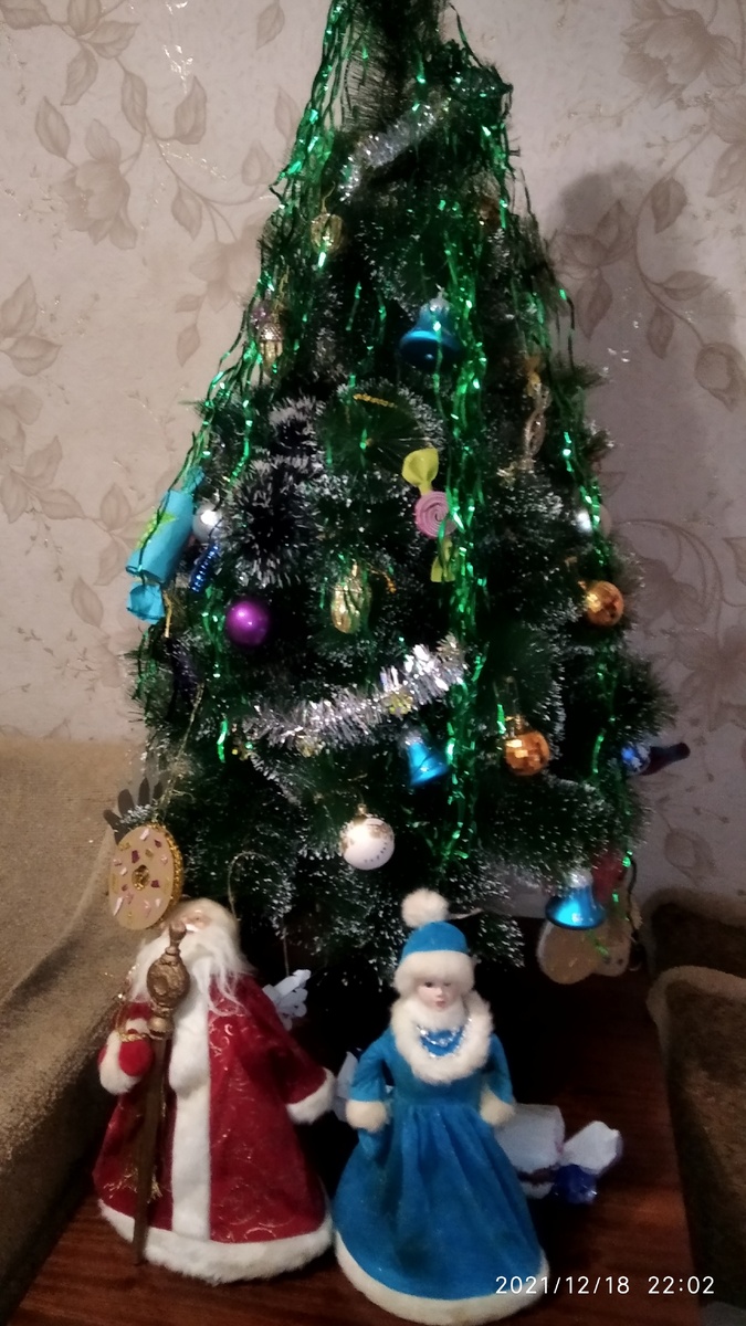 Ёлка у меня дома