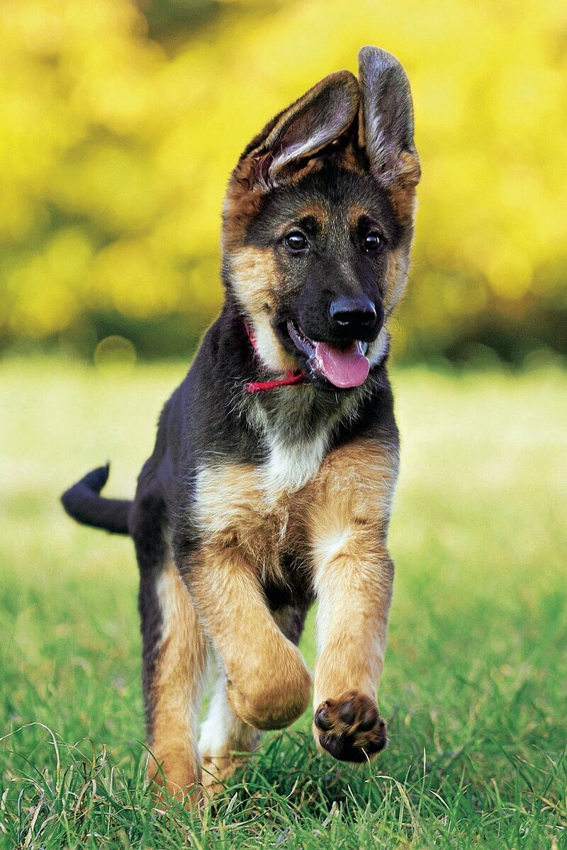 Просто красавчик 