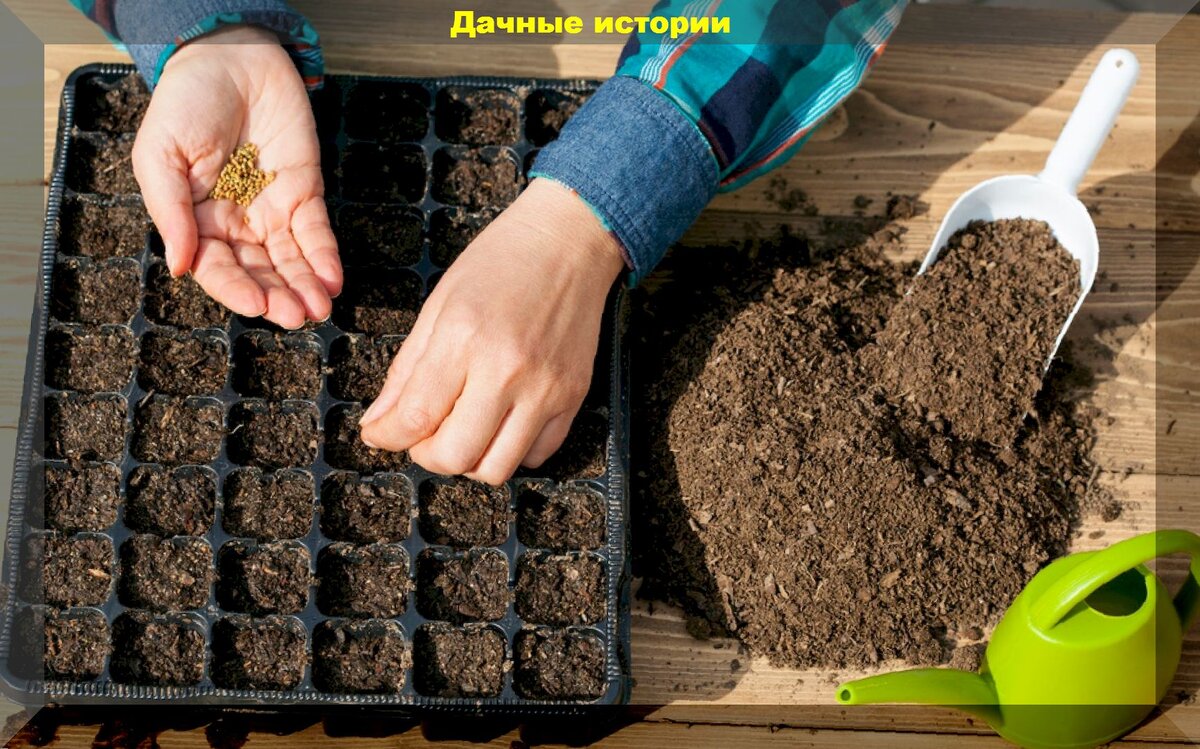 https://vk.com/photo-159774511_457250684