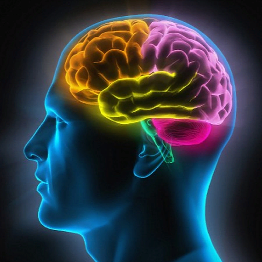 Люди обладающие хорошей памятью. Память человека. Мозг память. Способности человеческого мозга.