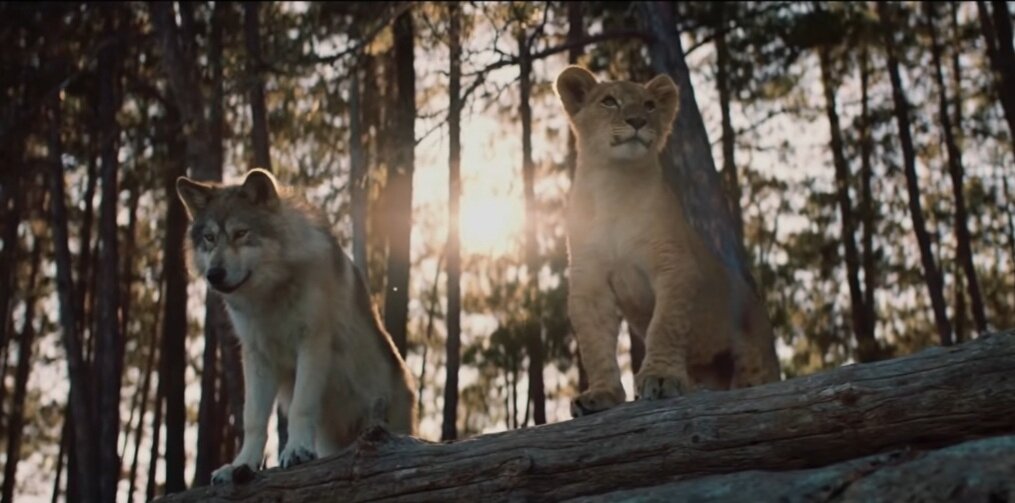 Очаровательный фильм Волк и лев рассказывает историю настоящей дружбы. Той дружбы, когда за друга готов пройти через «огонь и воду».