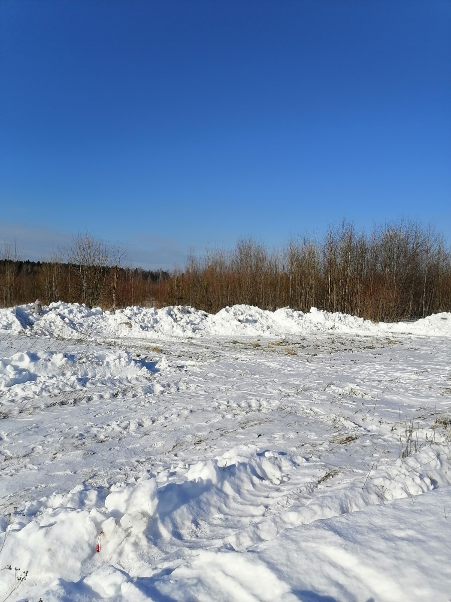 Купили зимой. Расчищали под сваи трактором. 