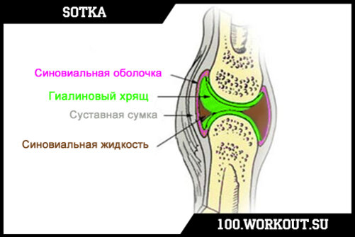 Причины остеоартрозов