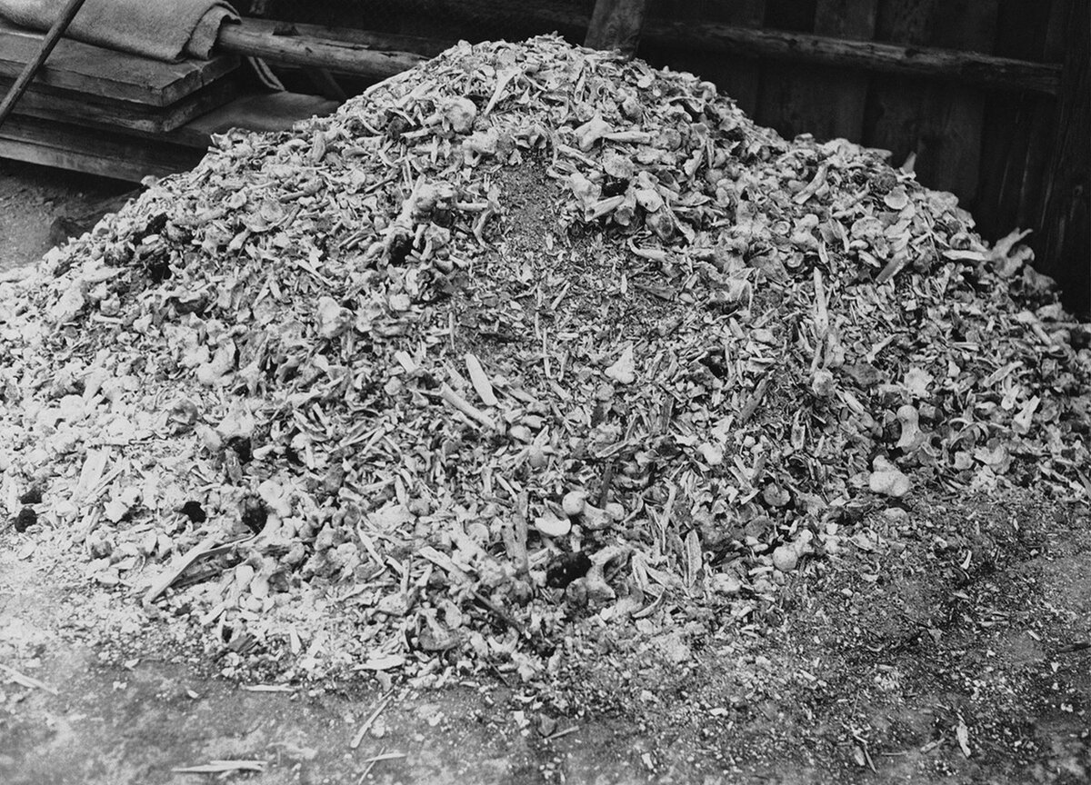 Лагеря смерти германий. Обручальные кольца концлагеря Бухенвальд. Холокост лагеря смерти.