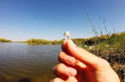 Фото из интернета.