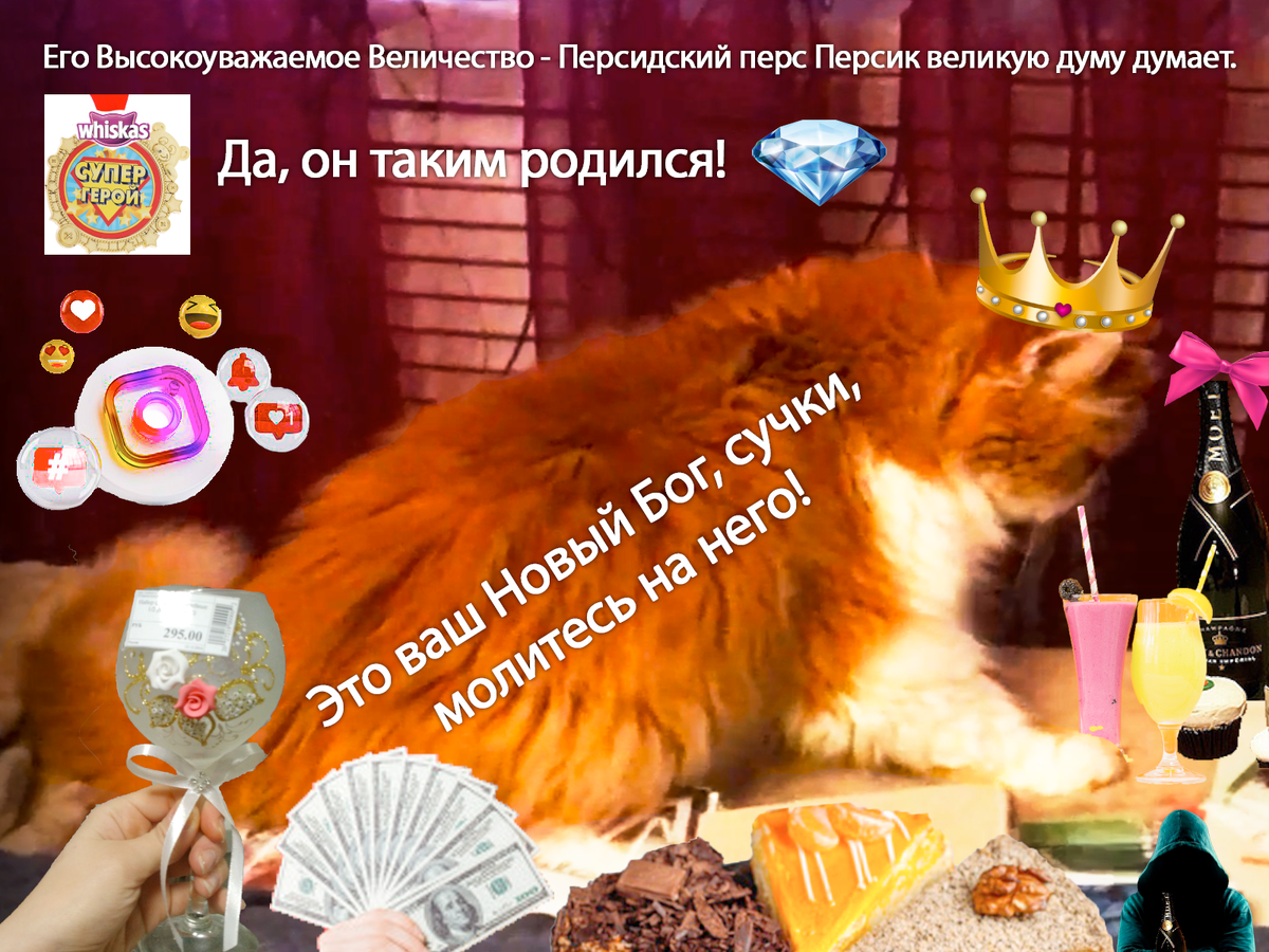 ПЕРСИК ВЕЛИКИЙ И ПРЕКРАСНЫЙ С самого дня своего рождения Персик Буданов был рождён под счастливой звездой, ярко сияющей в небе. Персик Буданов был рождён солнечным котёнком с золотистой шерстью.