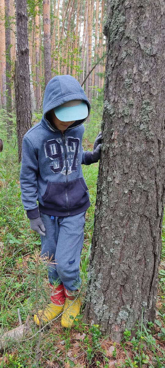 Фото автора.