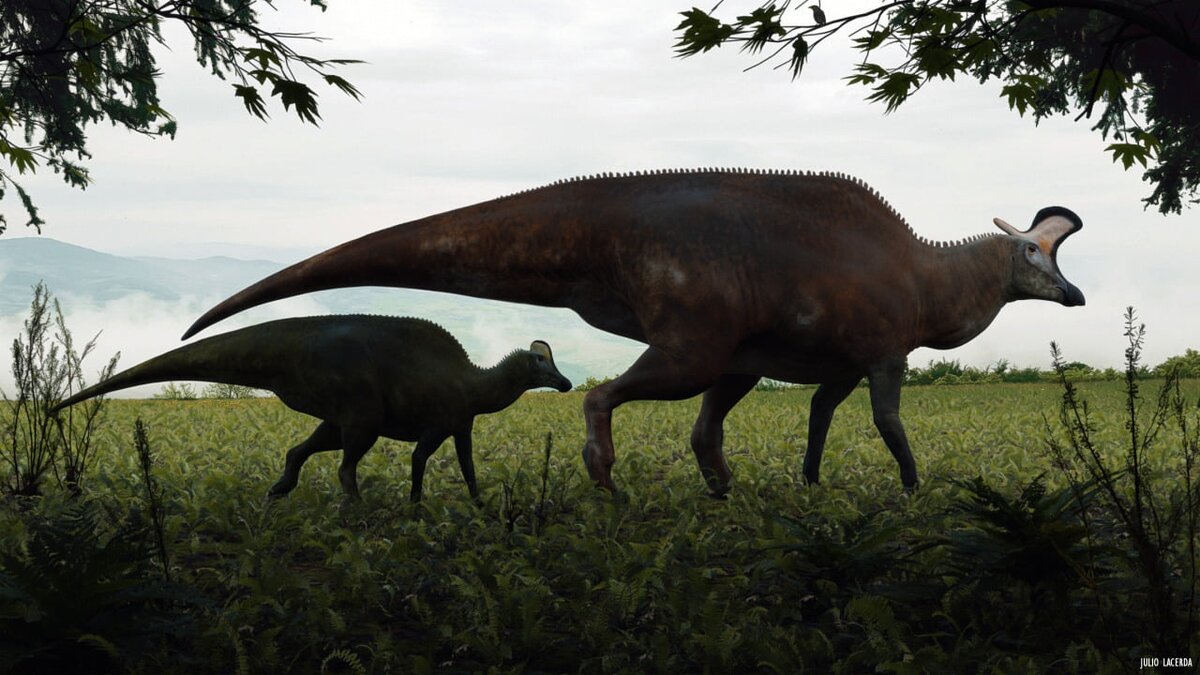 - Пап, а почему у меня нет такого выроста на голове, как у тебя? - Подрастёшь и у тебя такой будет.