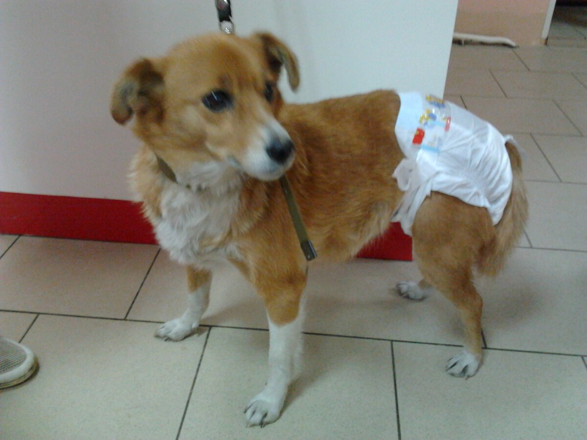 Радушка, после операции уже.