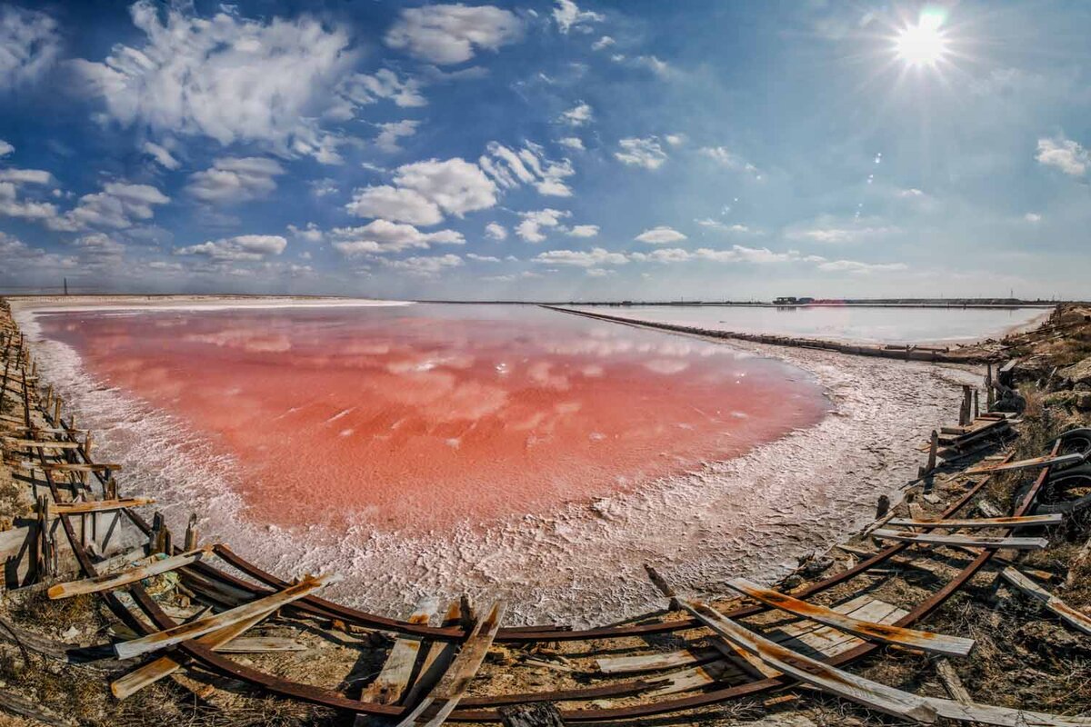    Зрелище розовой водной глади способно поразить любое воображение.Фото: commons.wikimedia.org
