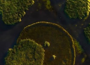    Фото: Росприроднадзор РФ