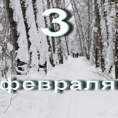 какой сегодня праздник 3 февраля. с двадцать третьем февраля. открытка "23 февраля! коллеге". когда будет 3 февраля. максимов день 3 февраля.