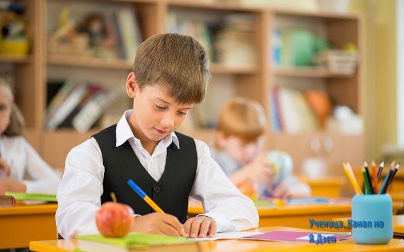 Отличник. Фото взято из открытых источников.