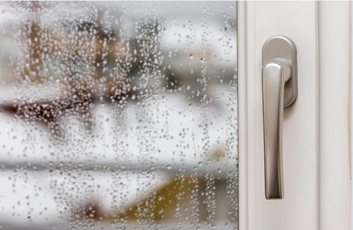 Конденсат на окнах - частая причина распространения плесени