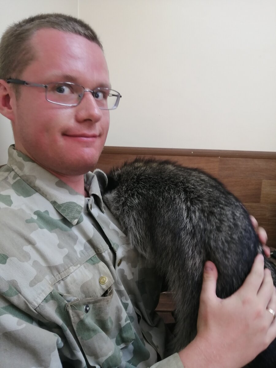 Первый раз глажу енота: мандраж зашкаливает