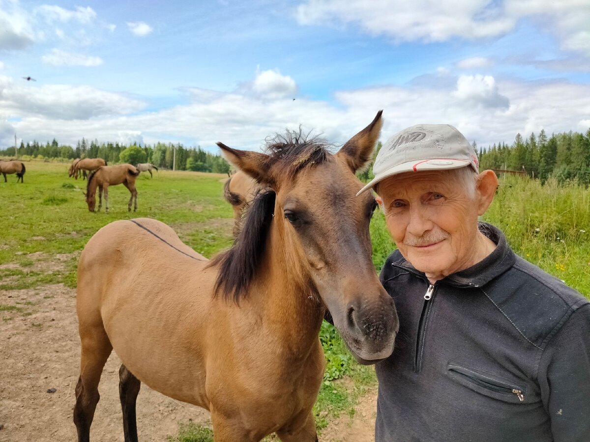 коне вод. коневод профессия. коне вод. коне вод. коневод картина для детей.