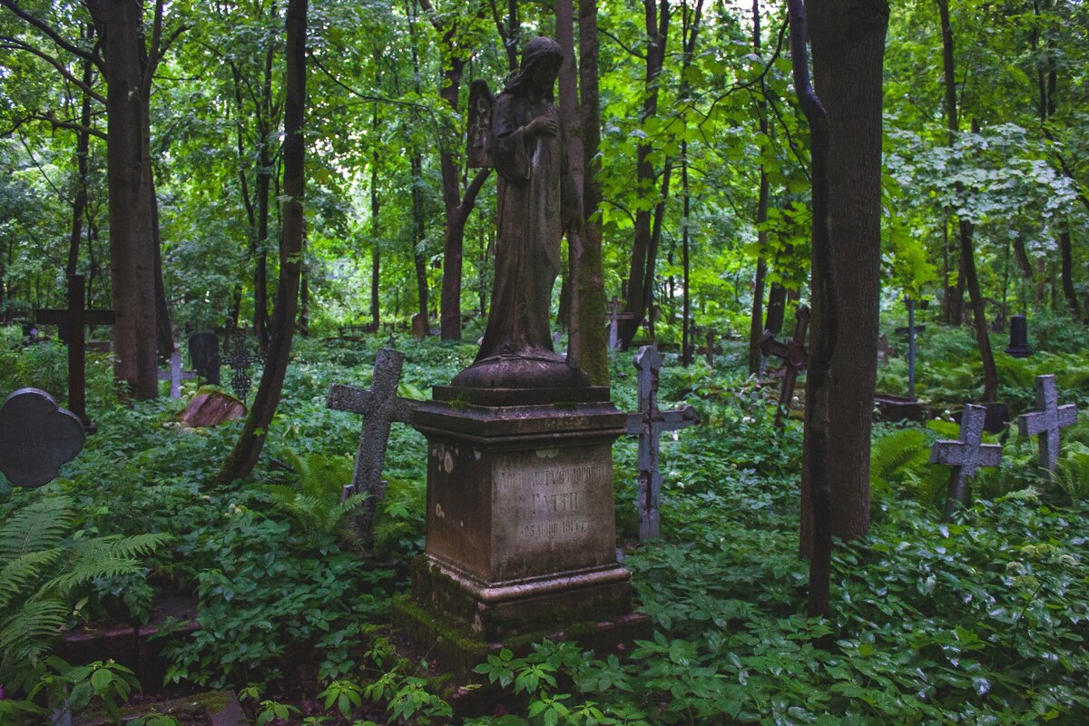 © фото: Дом Среди Лавров