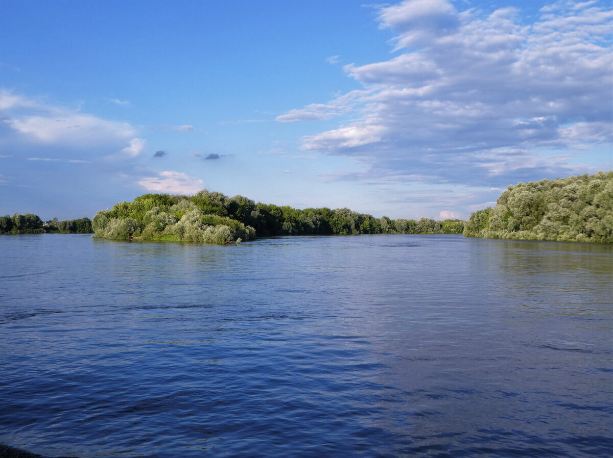 Ока река произошло от. Волга Ока Клязьма. Река Ока Рязань.