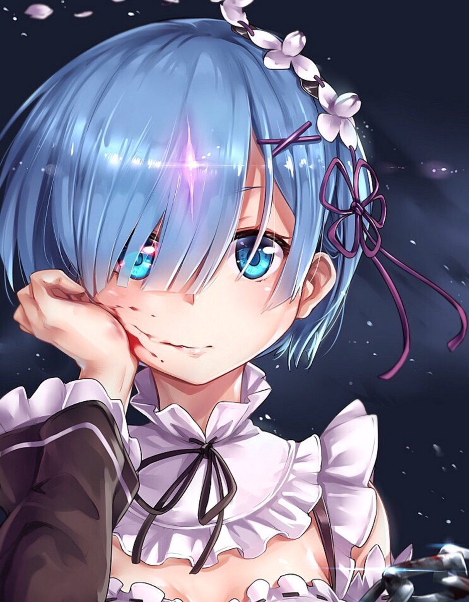 Рем — девушка с большими светло-голубыми глазами и короткими небесно-голубые волосами, правый глаз скрыт челкой. Она — практически полная копия своей сестры, за исключением цвета глаз, волос и большего размера груди. Обычно носит форму горничной, а также розовую заколку и ленточку в форме цветка.